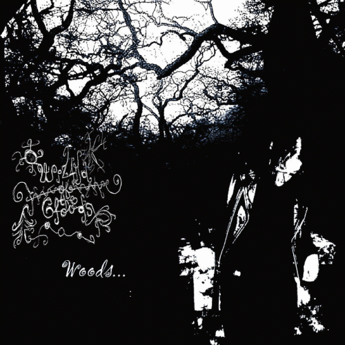 Wizard Of The Clouds : Woods...